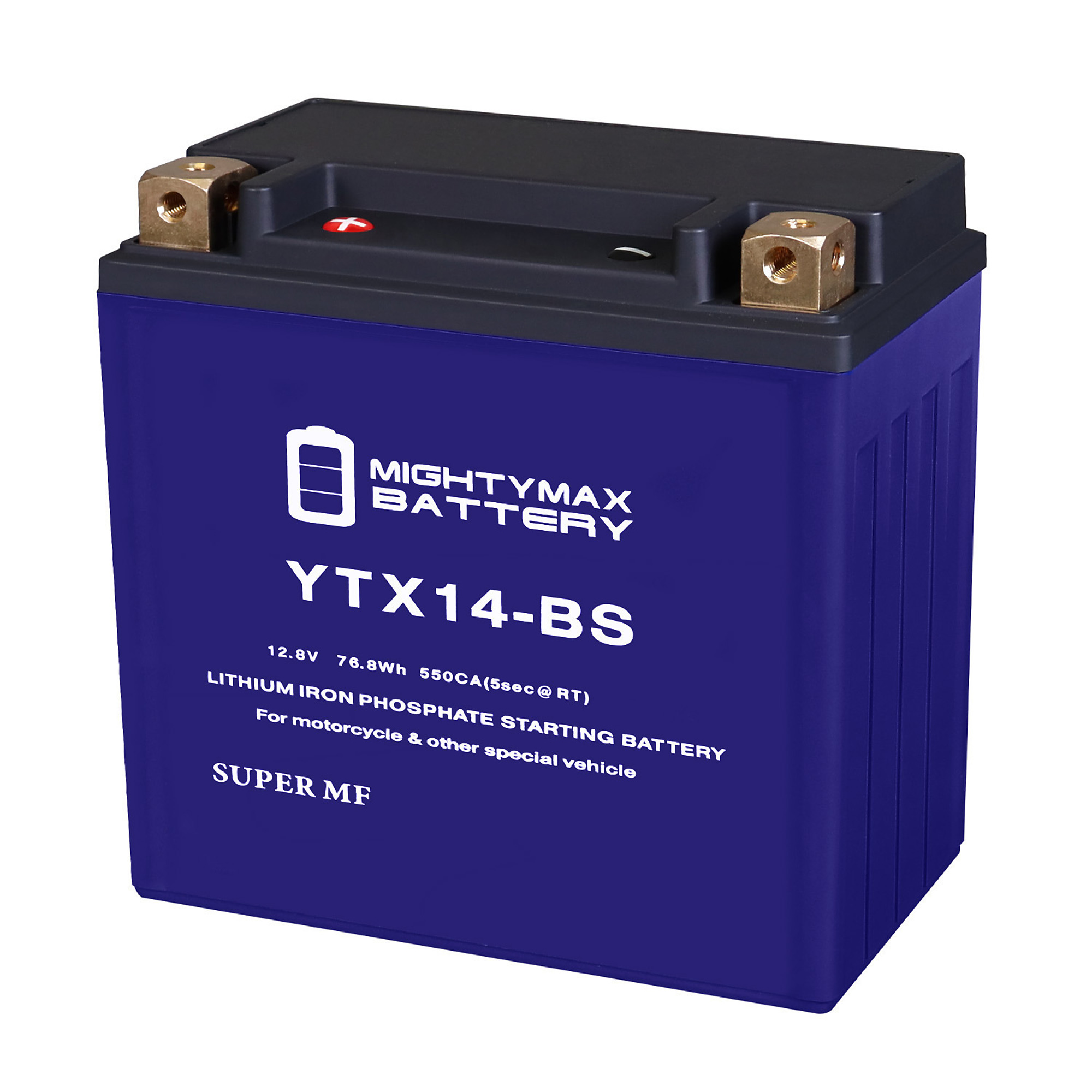 Mighty Max Battery YTX14-BS LIFEPO4 - 12 Volt 12 AH, 400 CCA, Lithium Iron Phosphate (LiFePO4) Battery